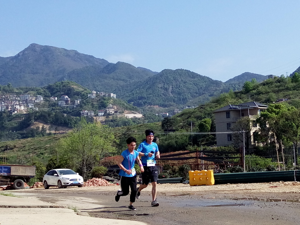 山下曹大樟树IMG_20180331_091321