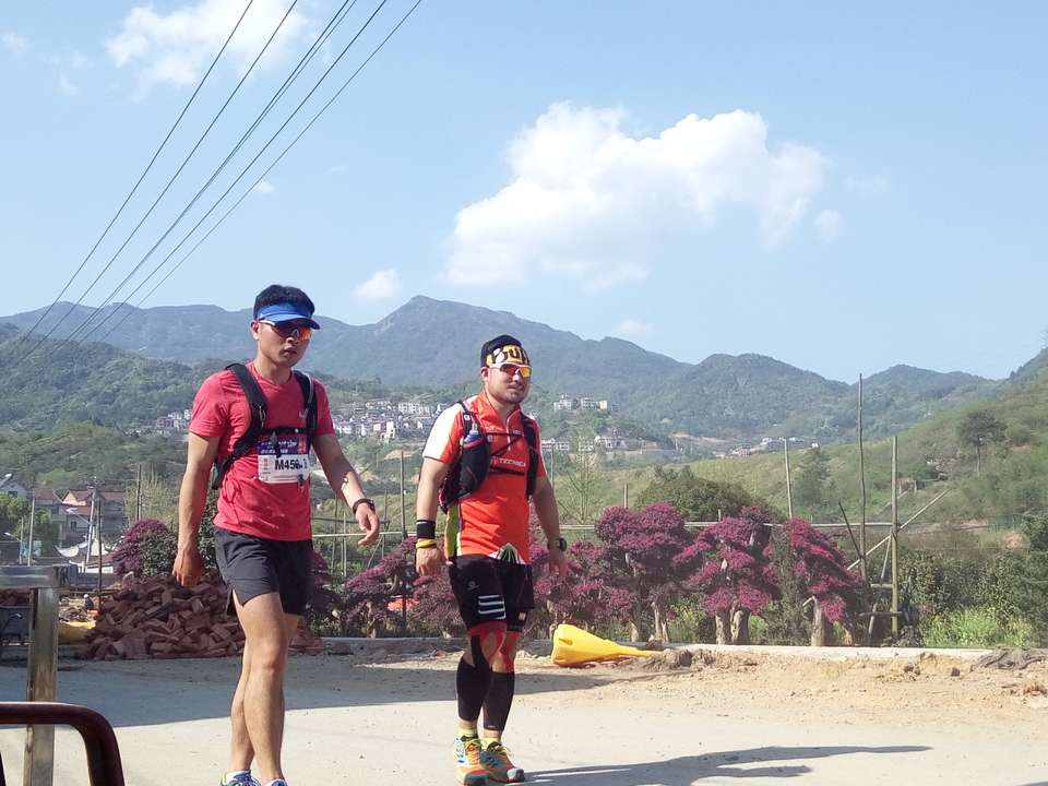 山下曹大樟树IMG_20180331_151423