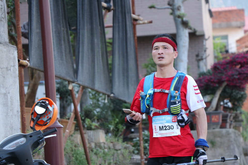 山下曹大樟树null2a62c70784728cd8