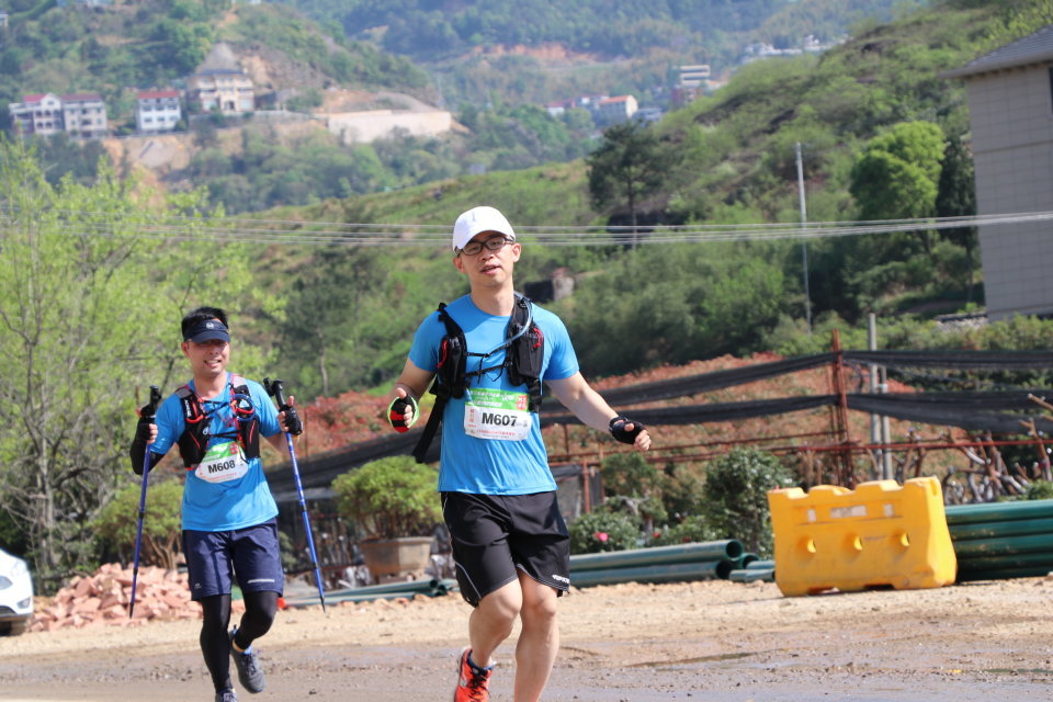 山下曹大樟树null2a228d9194a1b982