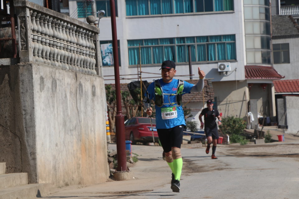 山下曹大樟树null3cc744dd8a54c5a1