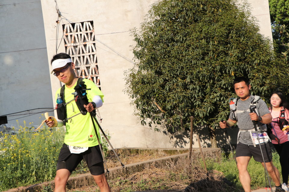 山下曹大樟树null-4c6d9d3cac9e555c