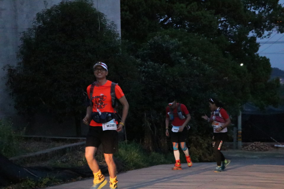 山下曹大樟树null-4d5e109037c911d9