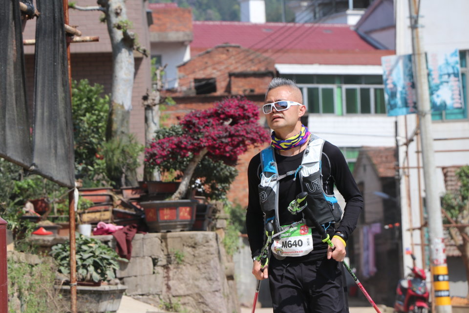 山下曹大樟树null25ce4180a6fccbf6