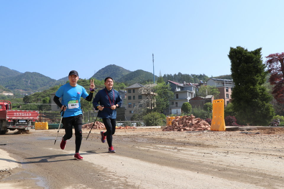 山下曹大樟树null-70dddf2a3ff07d7c