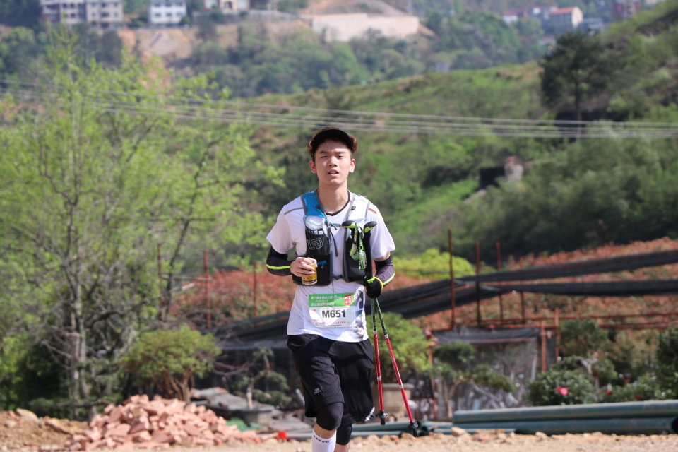 山下曹大樟树null-74dd83a3f3292beb