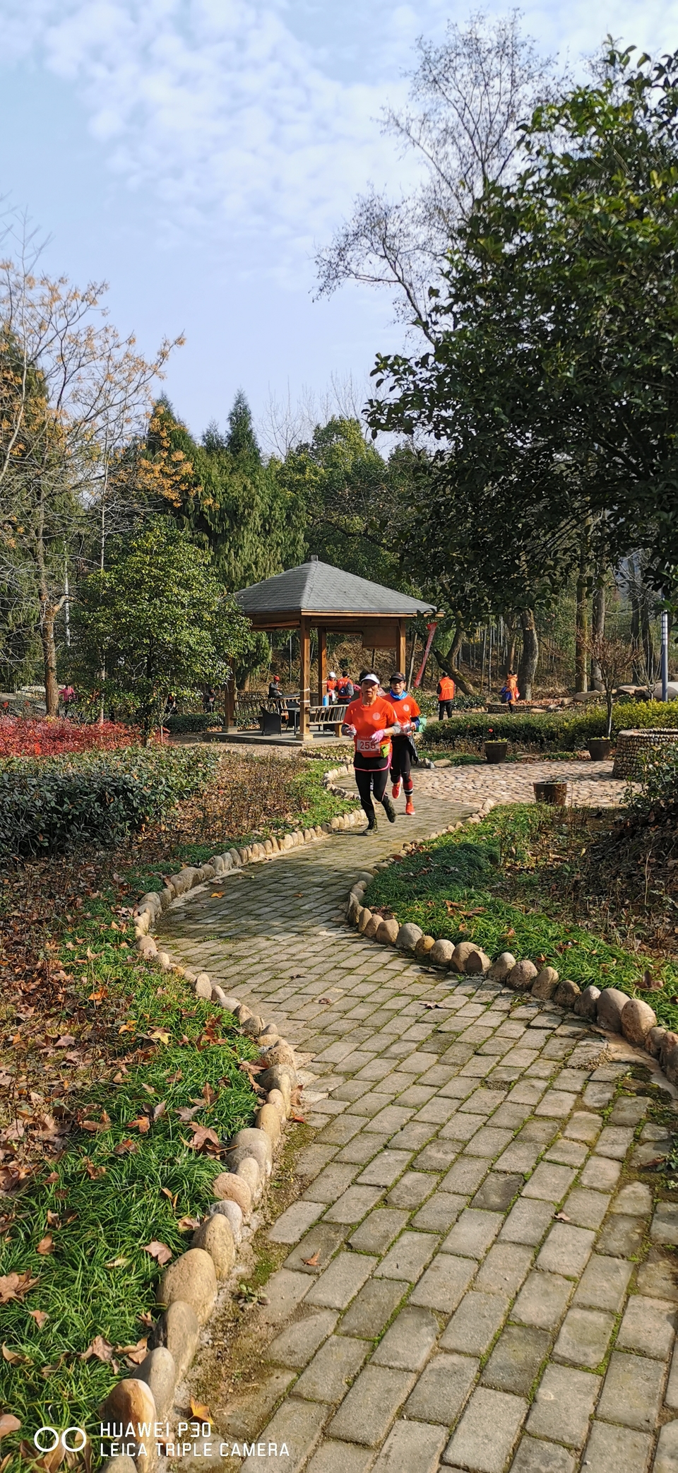 微信图片_20191231074302