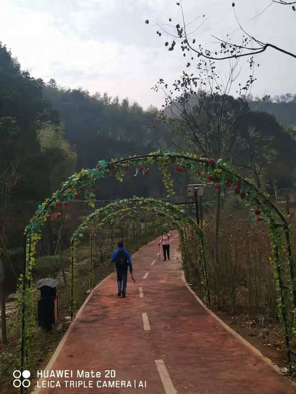 微信图片_20191231083810