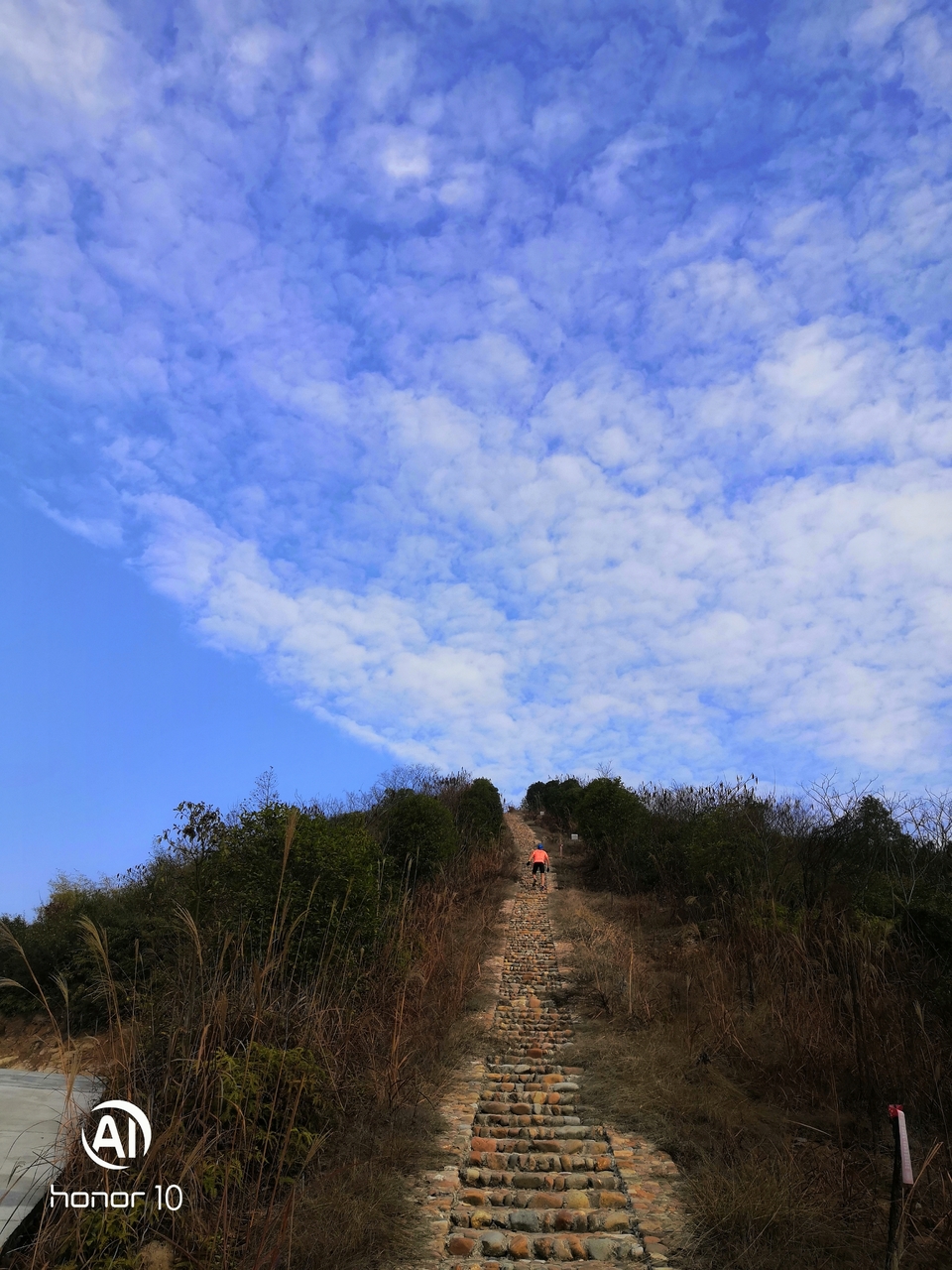 微信图片_20191231083916