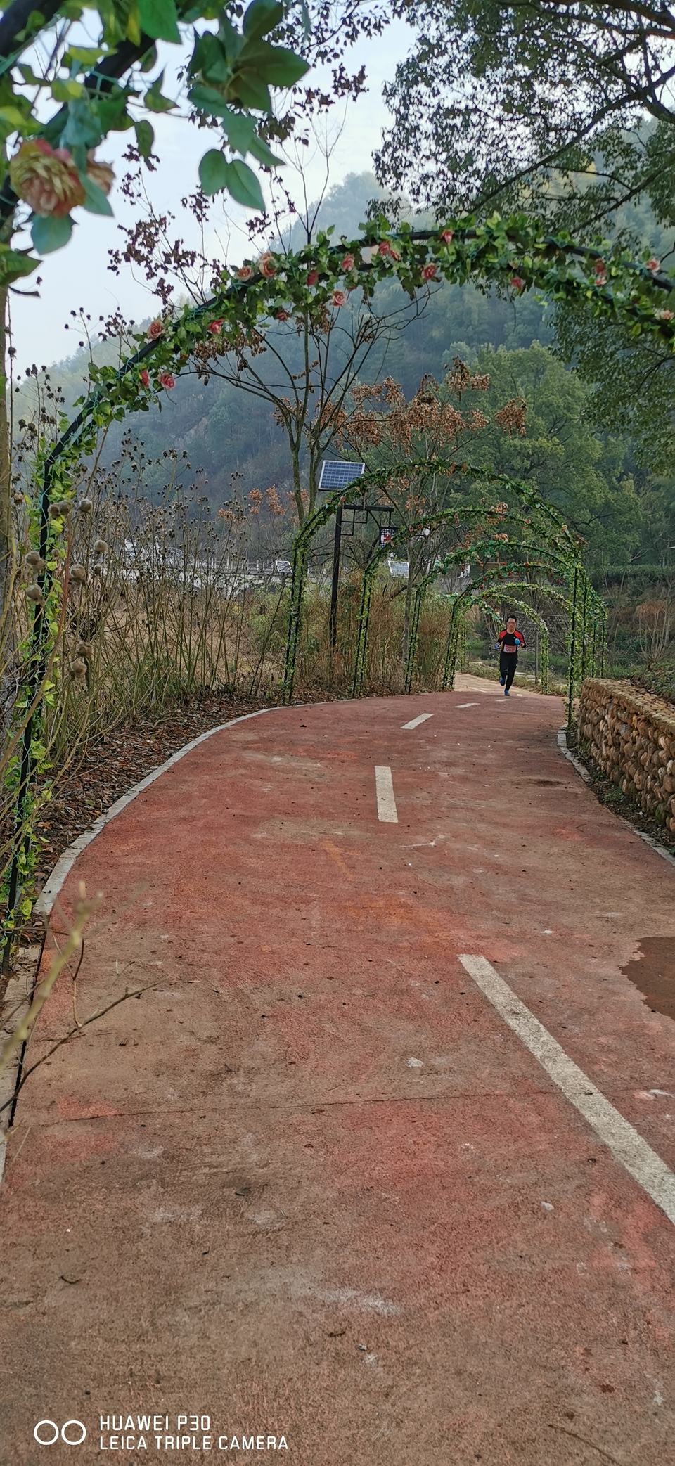 微信图片_20191231084043