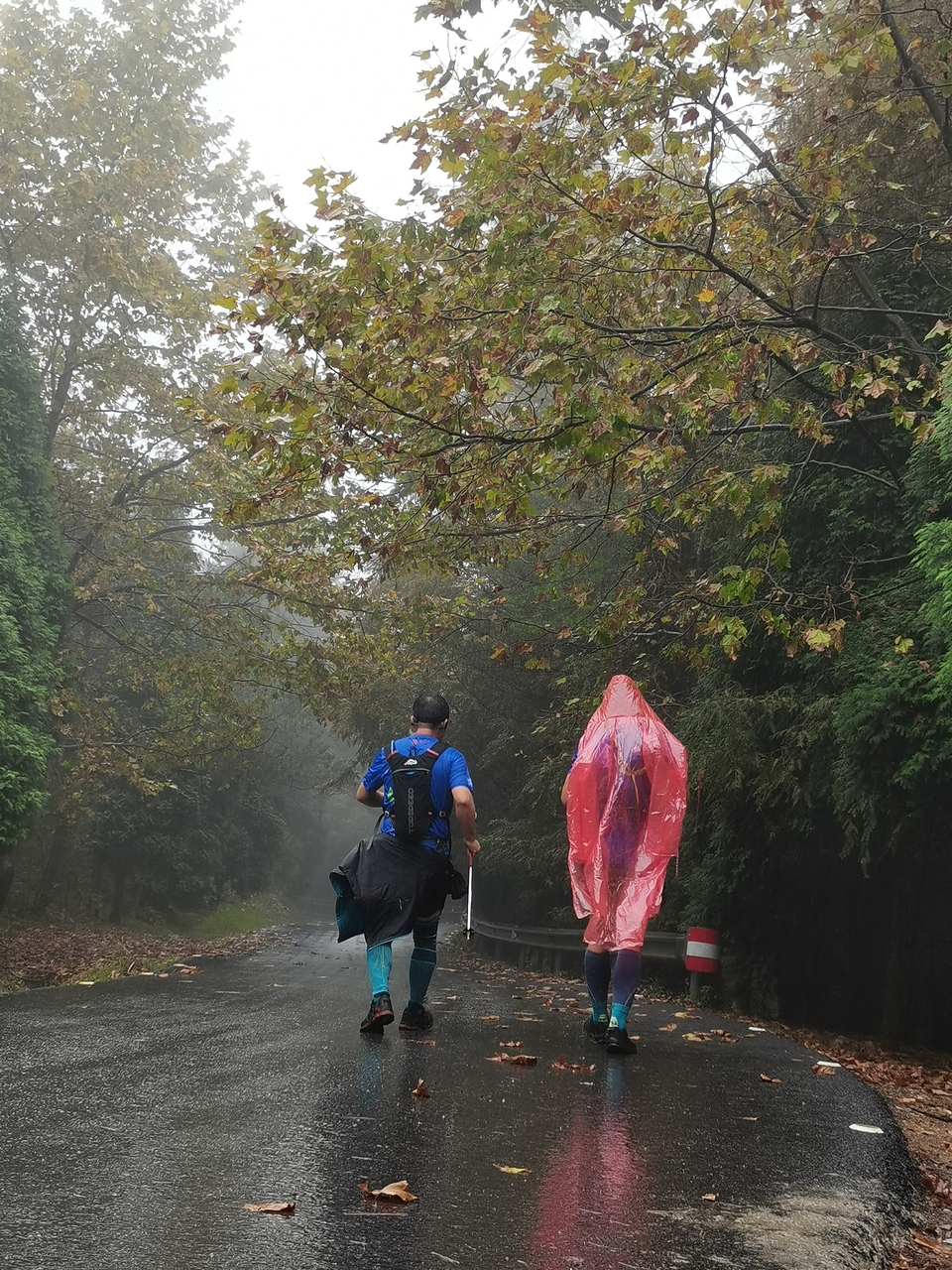 mmexport1601778852210