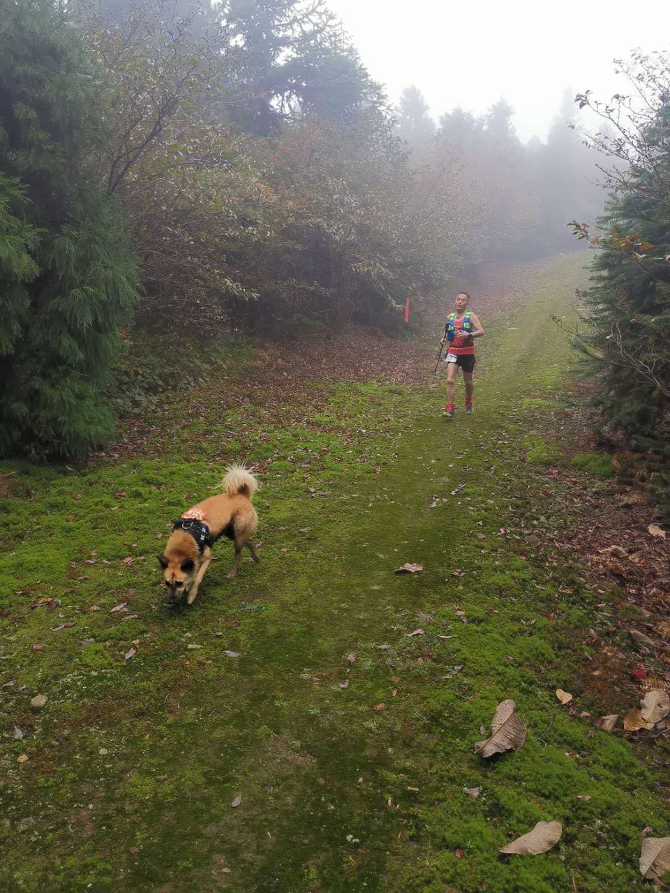 mmexport1601784091623