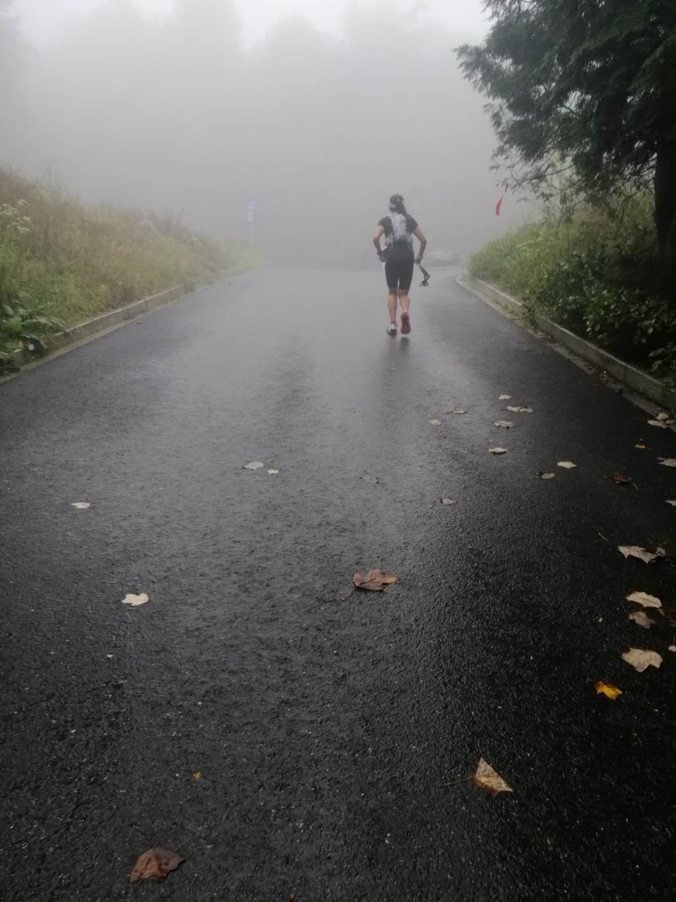 mmexport1601805383337