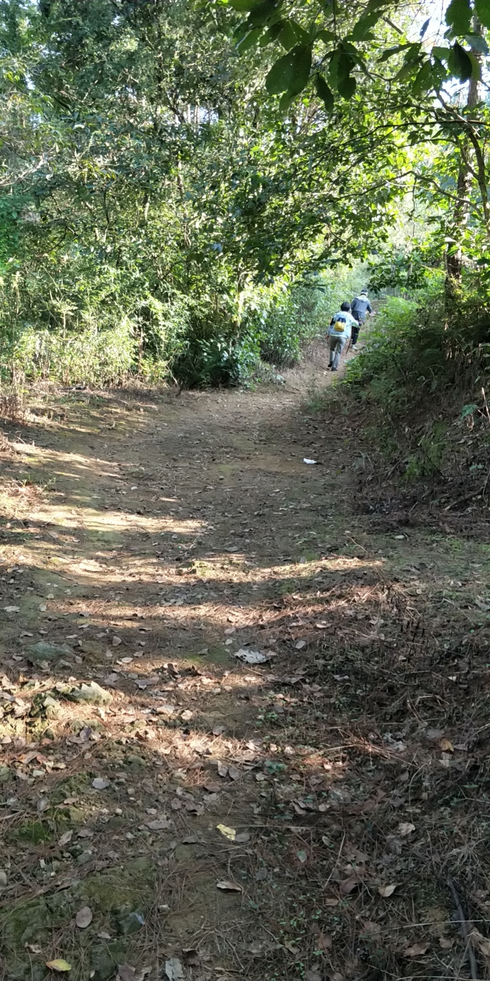 wx_camera_1601597123715