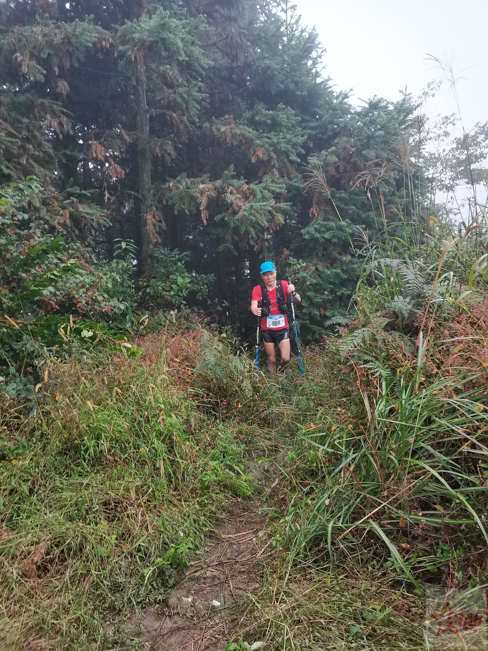 IMG_20201004_094409_1