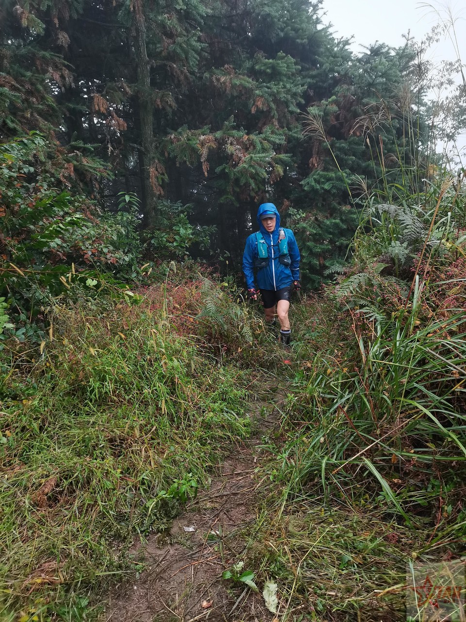 IMG_20201004_100125_1