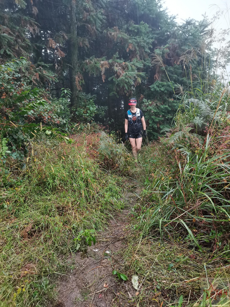 IMG_20201004_101509_1