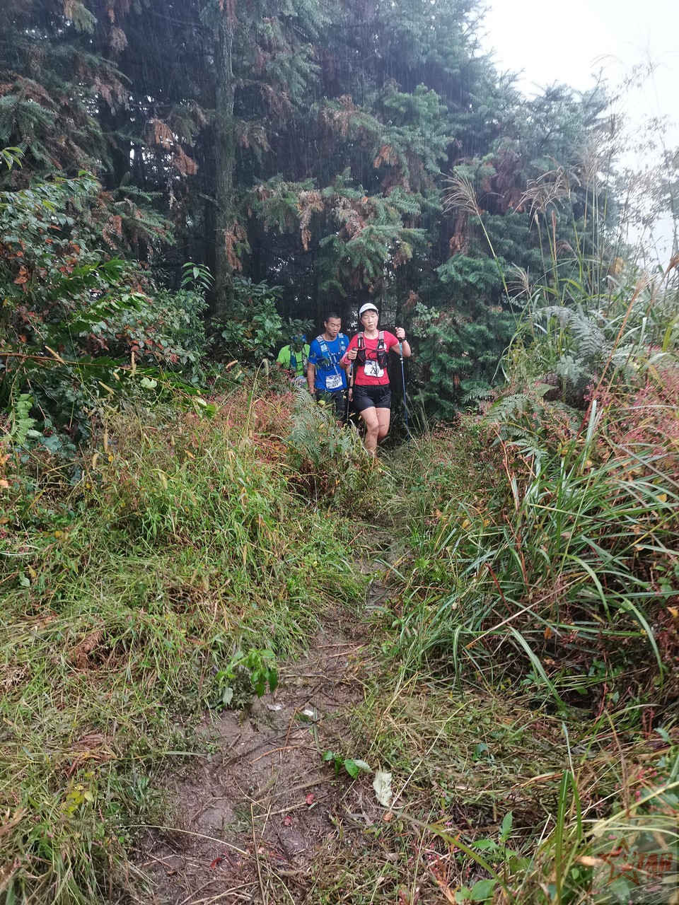 IMG_20201004_102027_1