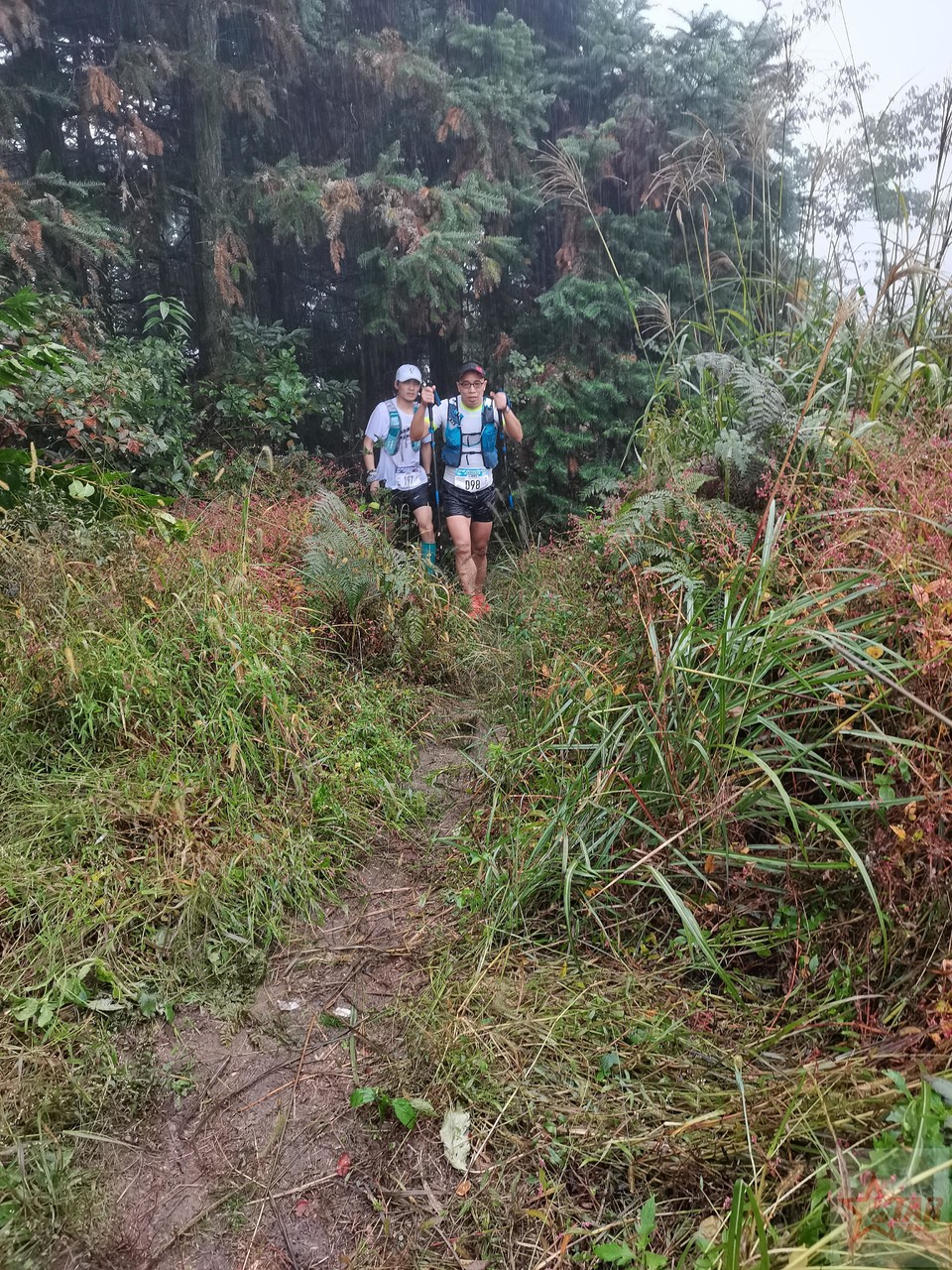 IMG_20201004_102532_1