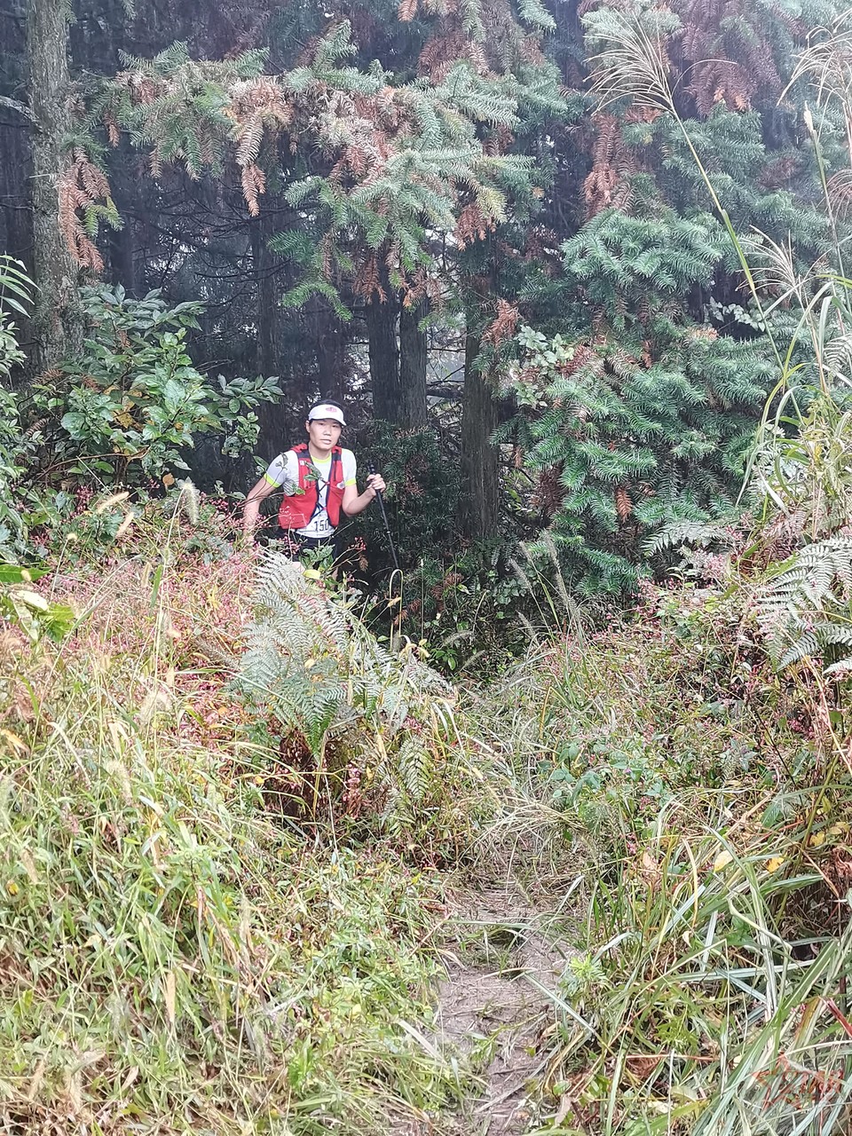 IMG_20201004_103148_1