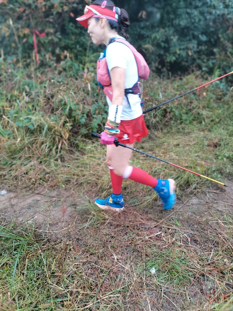 IMG_20201004_105021_1