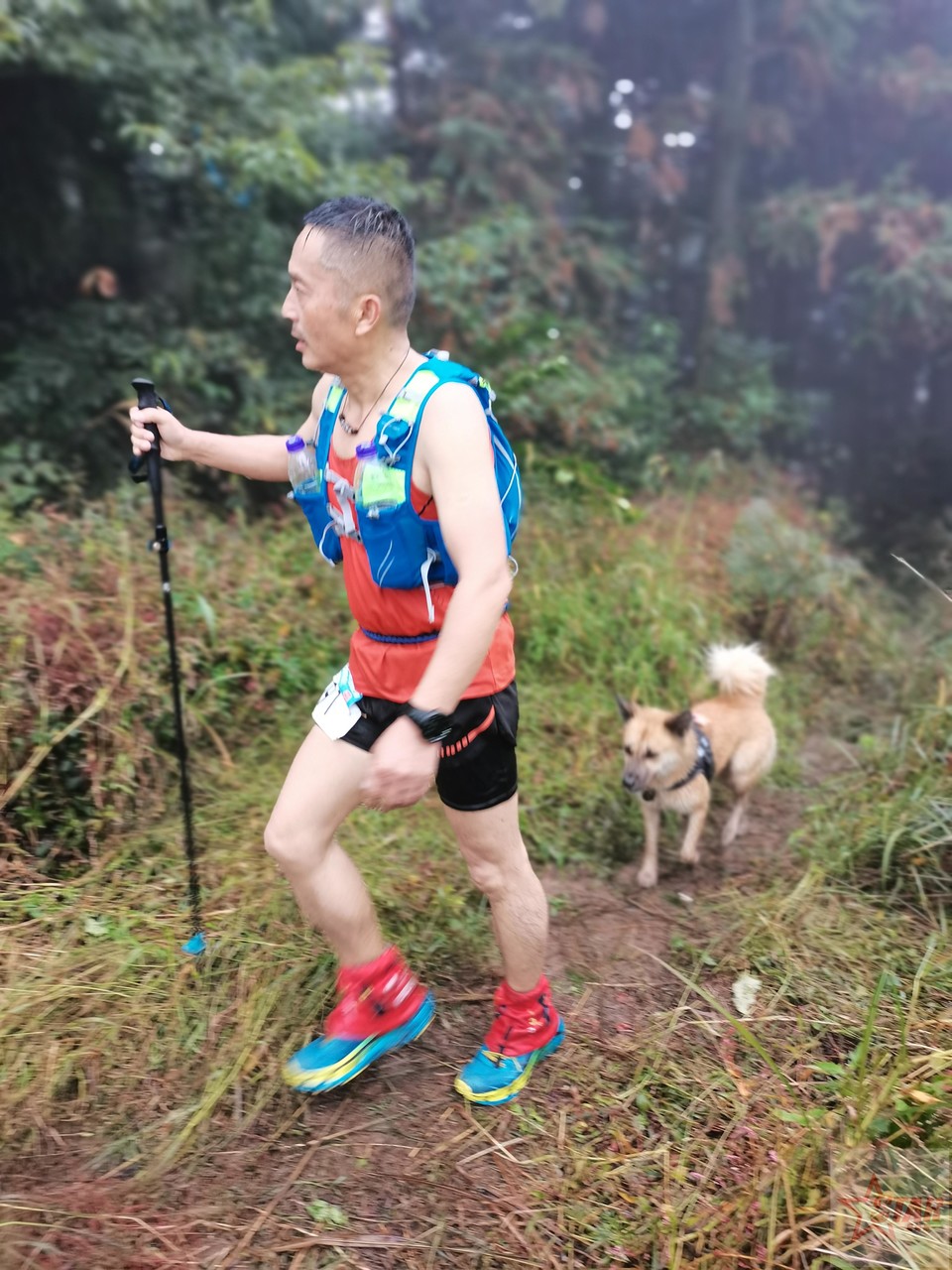 IMG_20201004_105642_1