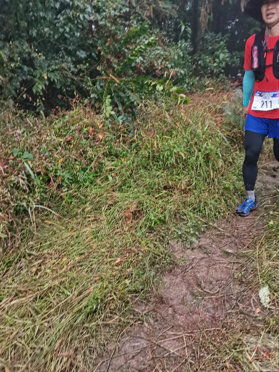 IMG_20201004_114012_1