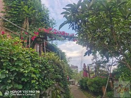 0rKuZwWVgv0EcvYLm5YUh82m0fbSat6zMROj-4L9Qbo35mMNomqm74nz1J61CIiZ