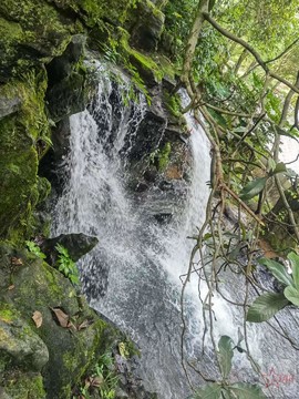 35agZnnRk05n3GYUkpv8QnBUBI5KzcKLs-qAu9tGnHf2MWci4JscZjChcKwwowV-