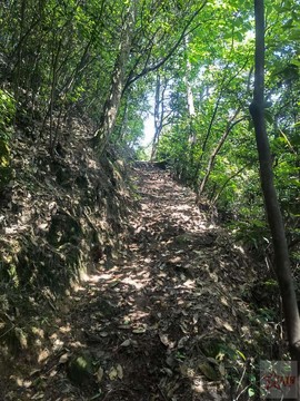 Zuxmamf-p3Zgfpzl7jKHq6axdDqFjbVQ5qvstiInU4cGD55hpJU-UhkZ4SJf1mYr