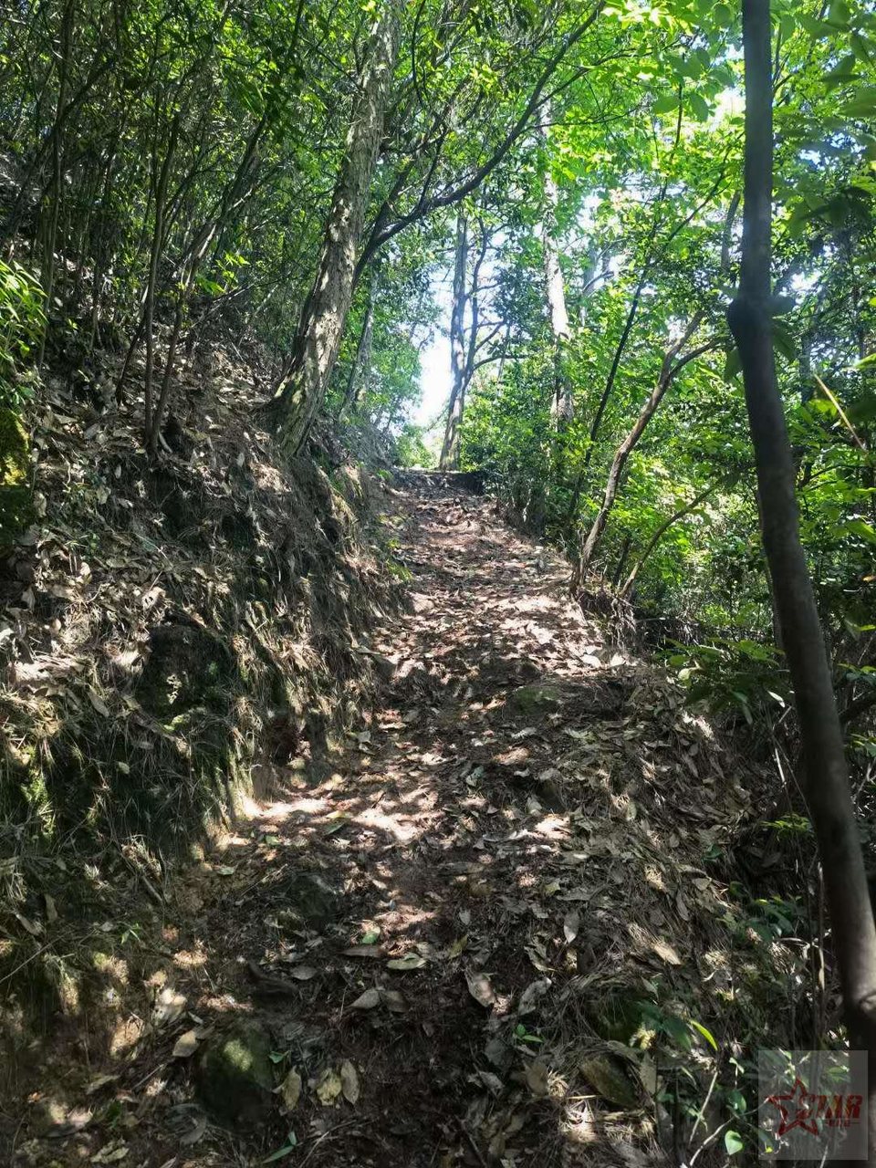 Zuxmamf-p3Zgfpzl7jKHq6axdDqFjbVQ5qvstiInU4cGD55hpJU-UhkZ4SJf1mYr