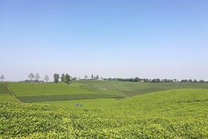 中国山水四项——浙中桃源九峰越野赛