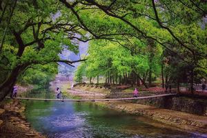 “迎亚运 创文明” 2020 “健康婺城 山水莘畈 ”迎新越野跑