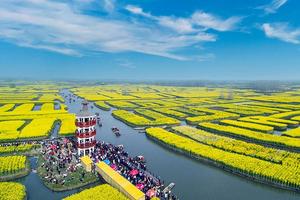 盐城淮剧小镇+兴化油菜花一日游，特惠价188元