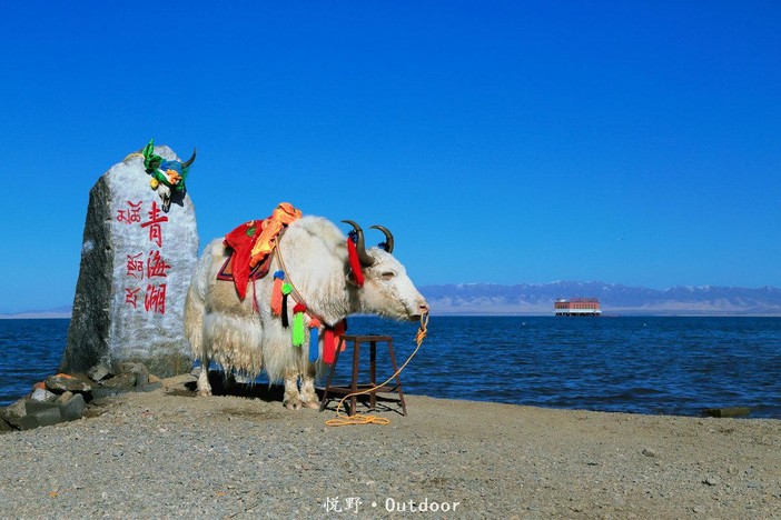 【悦野青海】全景青海湖高铁精品3日游(纯玩)