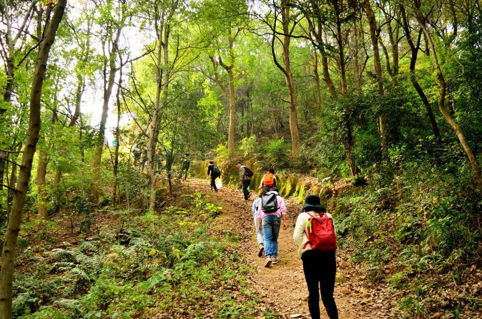 15 父子山国家登山健步道徒步一日活动
