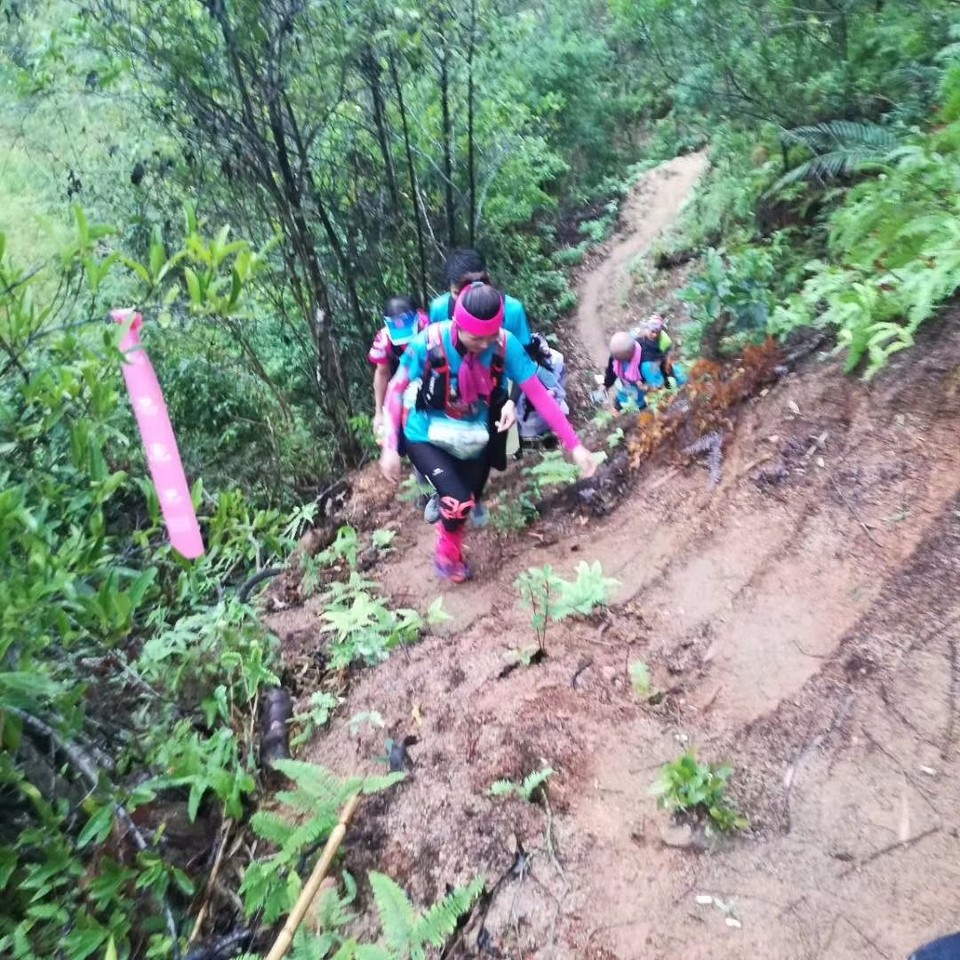 mmexport1515247332698