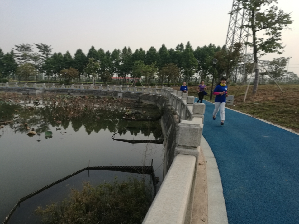 mmexport1512887505833