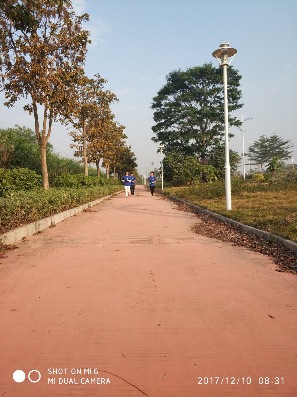 IMG_20171210_083156_BURST1