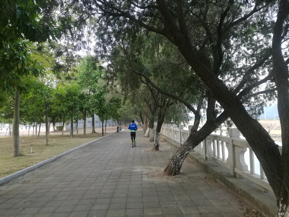 mmexport1512887205647