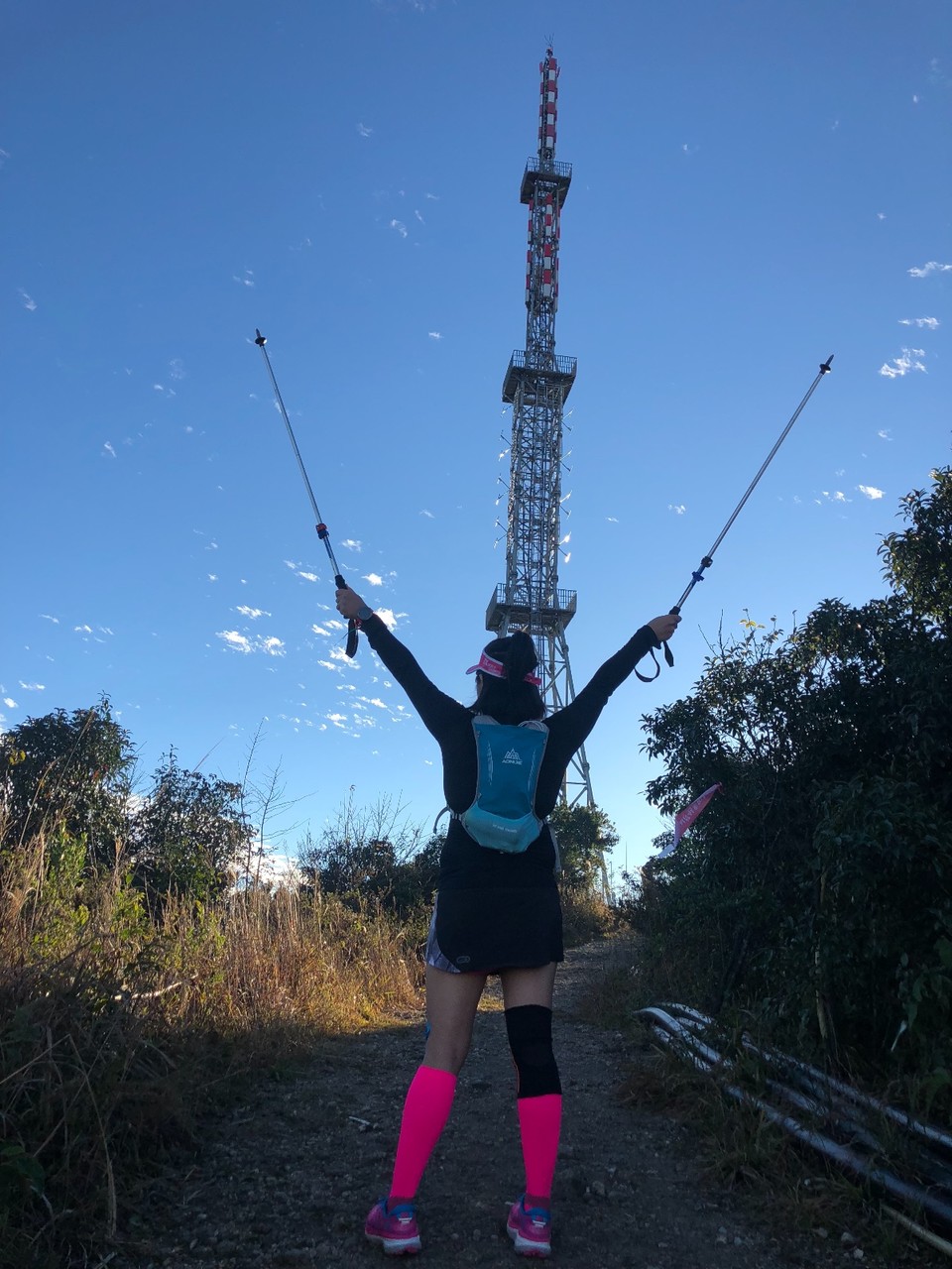 243E3D7A-01DB-4204-B820-8A102B680B87