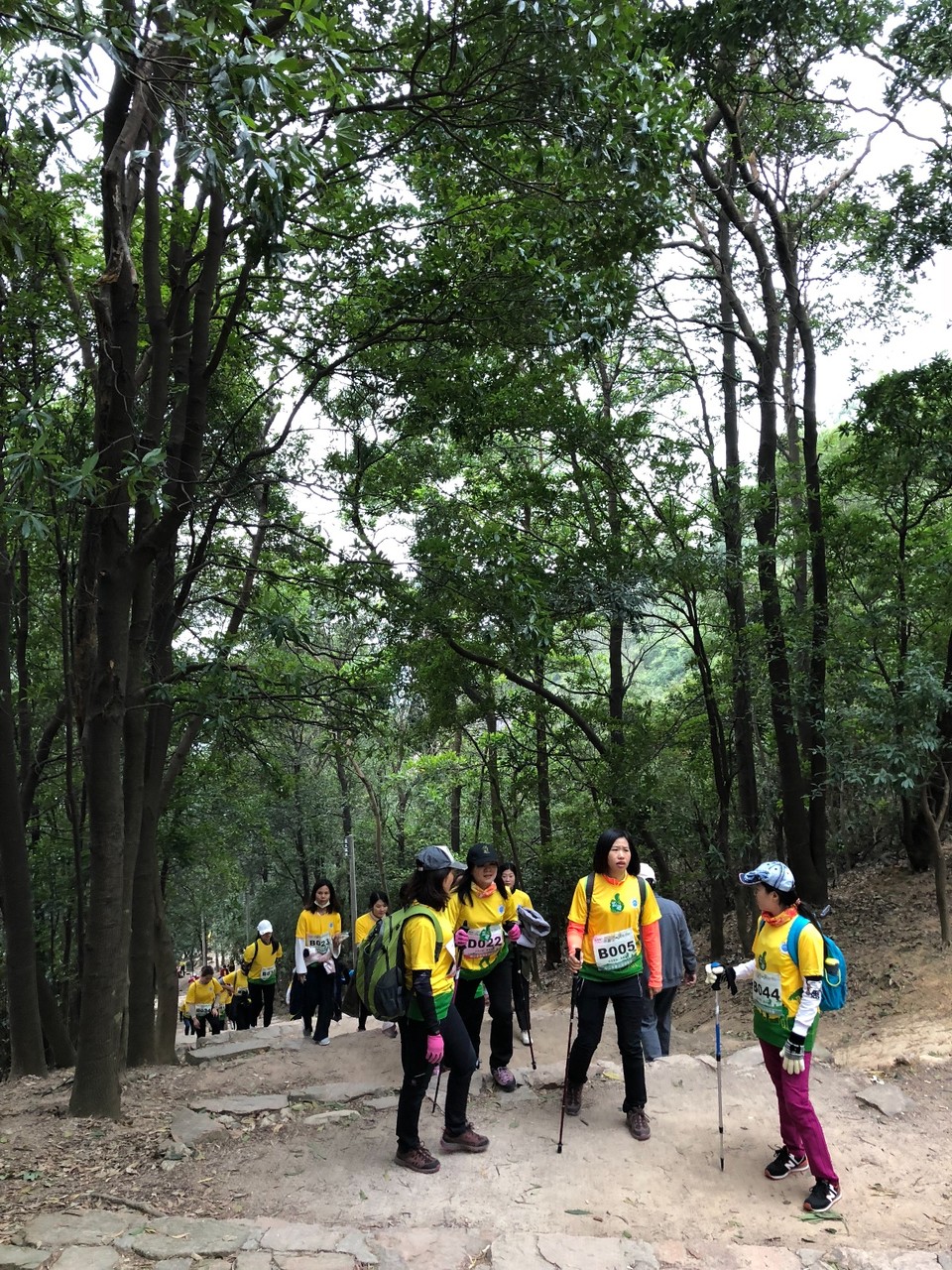 6EFCFDE9-8E0A-43DA-9545-25C7A93AA2A5