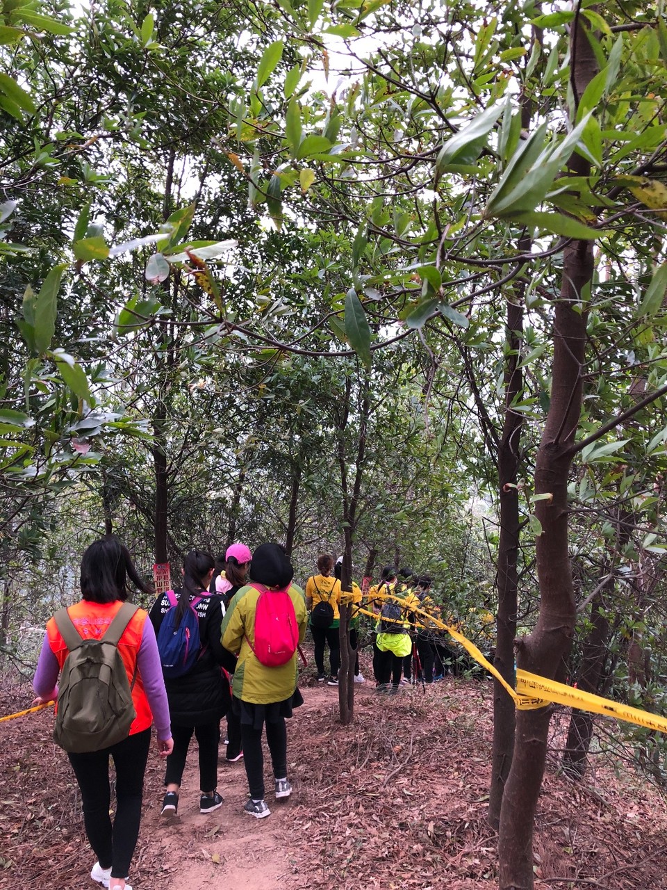 646D592B-0D11-44A5-942C-B8266D7B3EF1