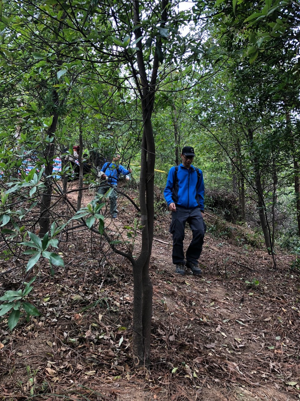 E70DD642-6AAF-4DA4-8EB7-F79E65DA3FE2