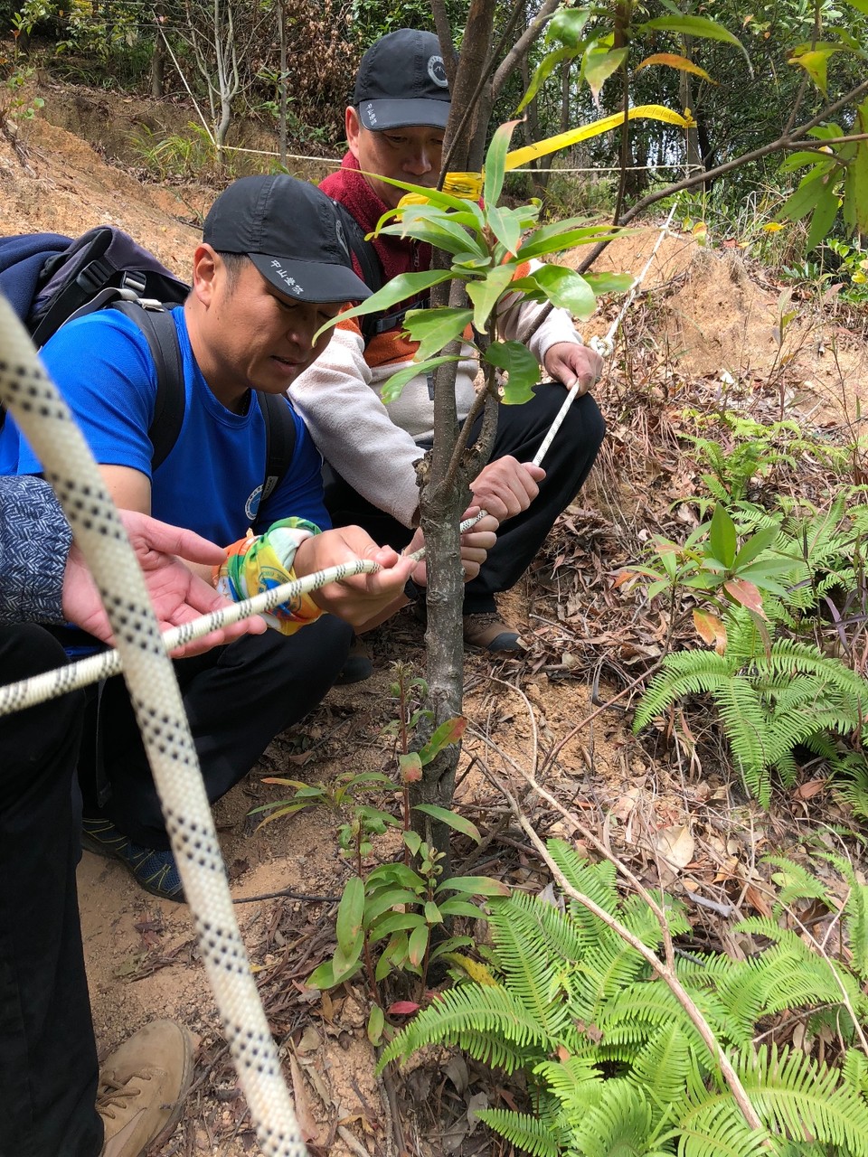 D297BDF5-FA82-4D9F-9147-9E0F766633DC