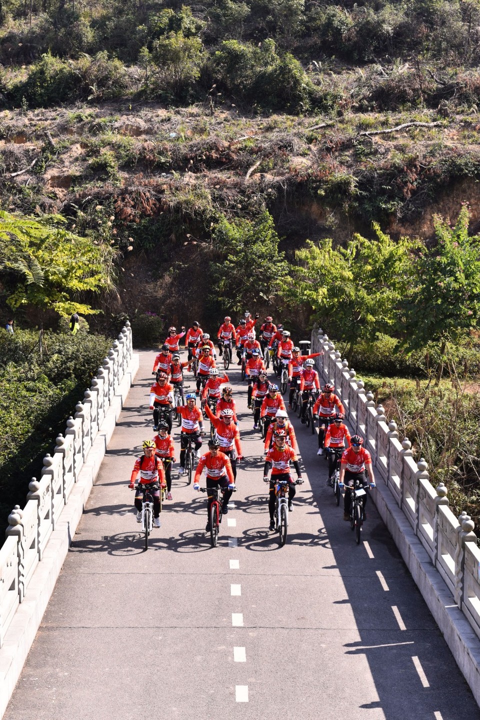 mmexport1515937583826