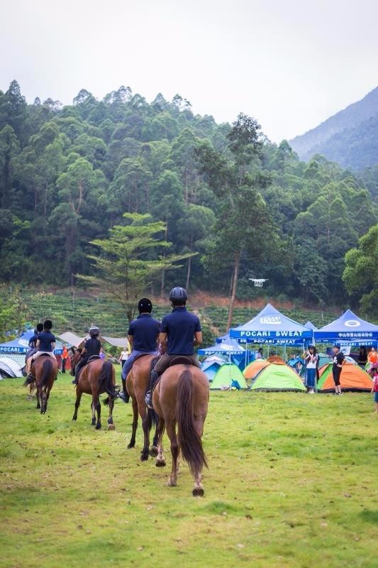 mmexport1495374082098