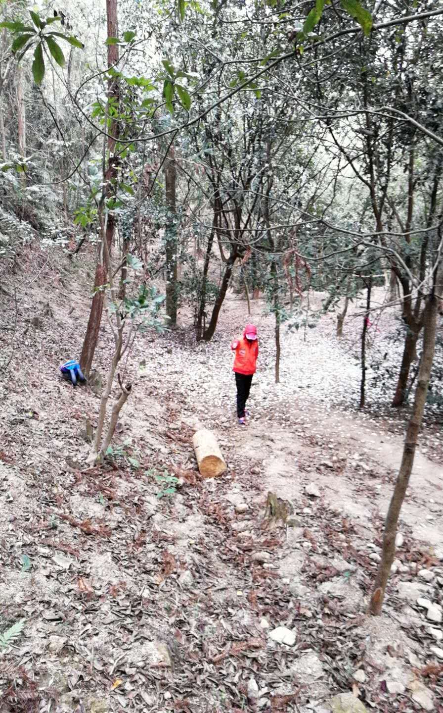 8M4gndPcf2-guX-xb-T5kHEPe75yAlIz4FA6wSk730N4Lza4vKYqhG-TzrtomwVh