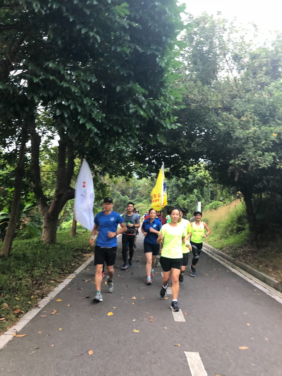 D6A03629-C7E0-43B6-BBCE-37F7FE97E9A0