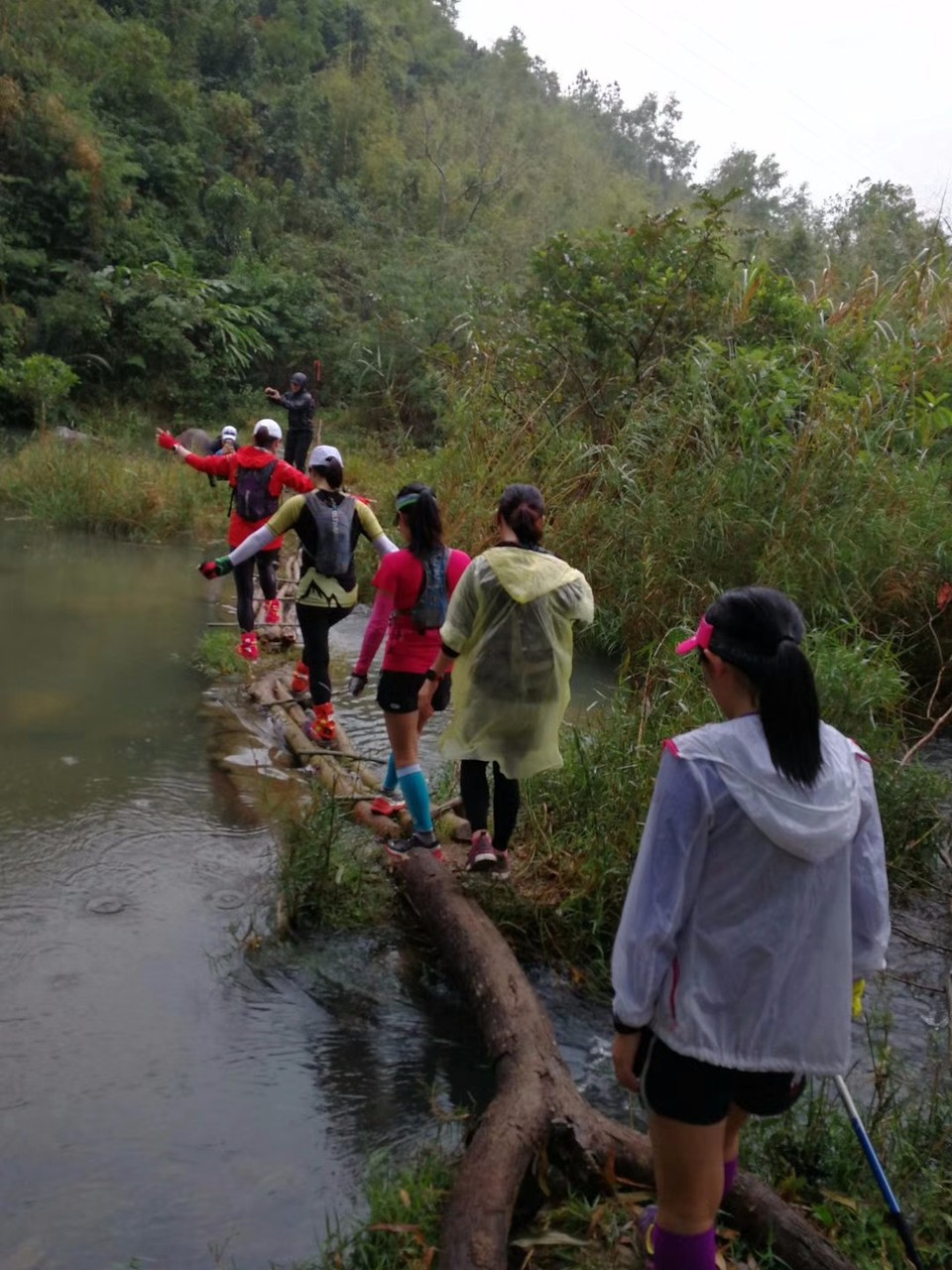 mmexport1515221809292